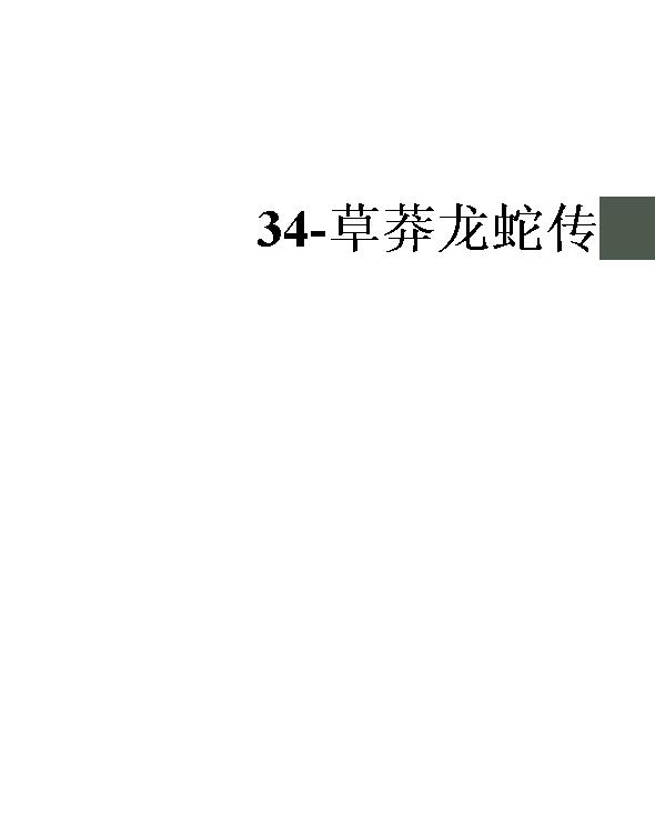 34-草莽龙蛇传