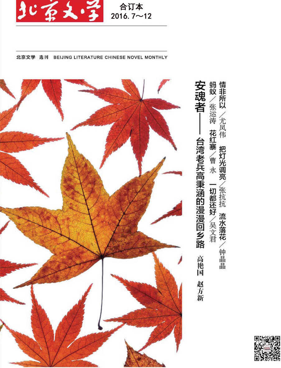 北京文学·中篇小说月报 月刊 2016年下半年合订本（2016.7-12期）