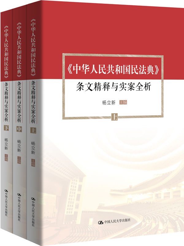 民法典条文精释与实案全析