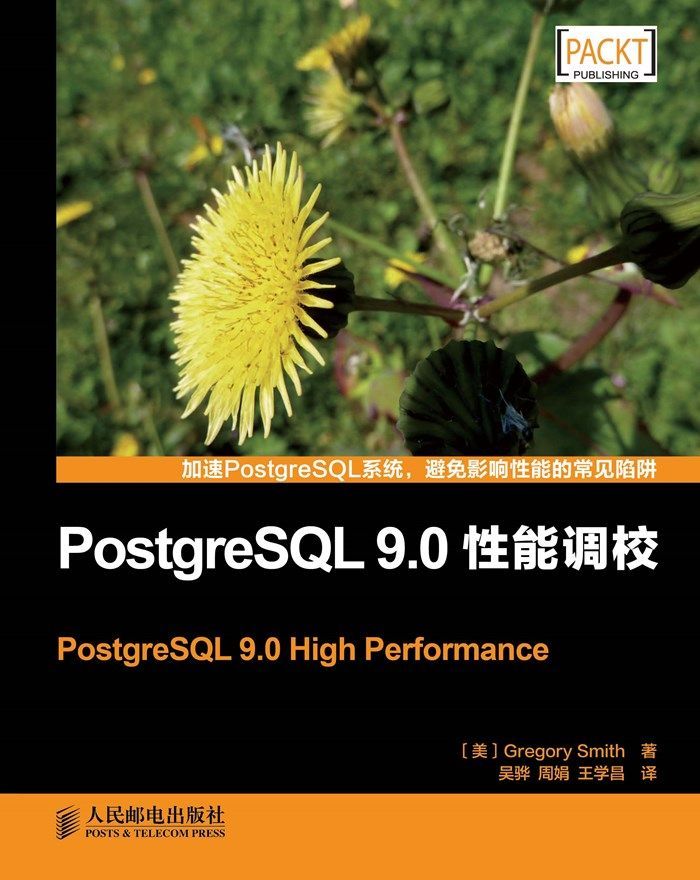 PostgreSQL 9.0性能调校（异步图书）