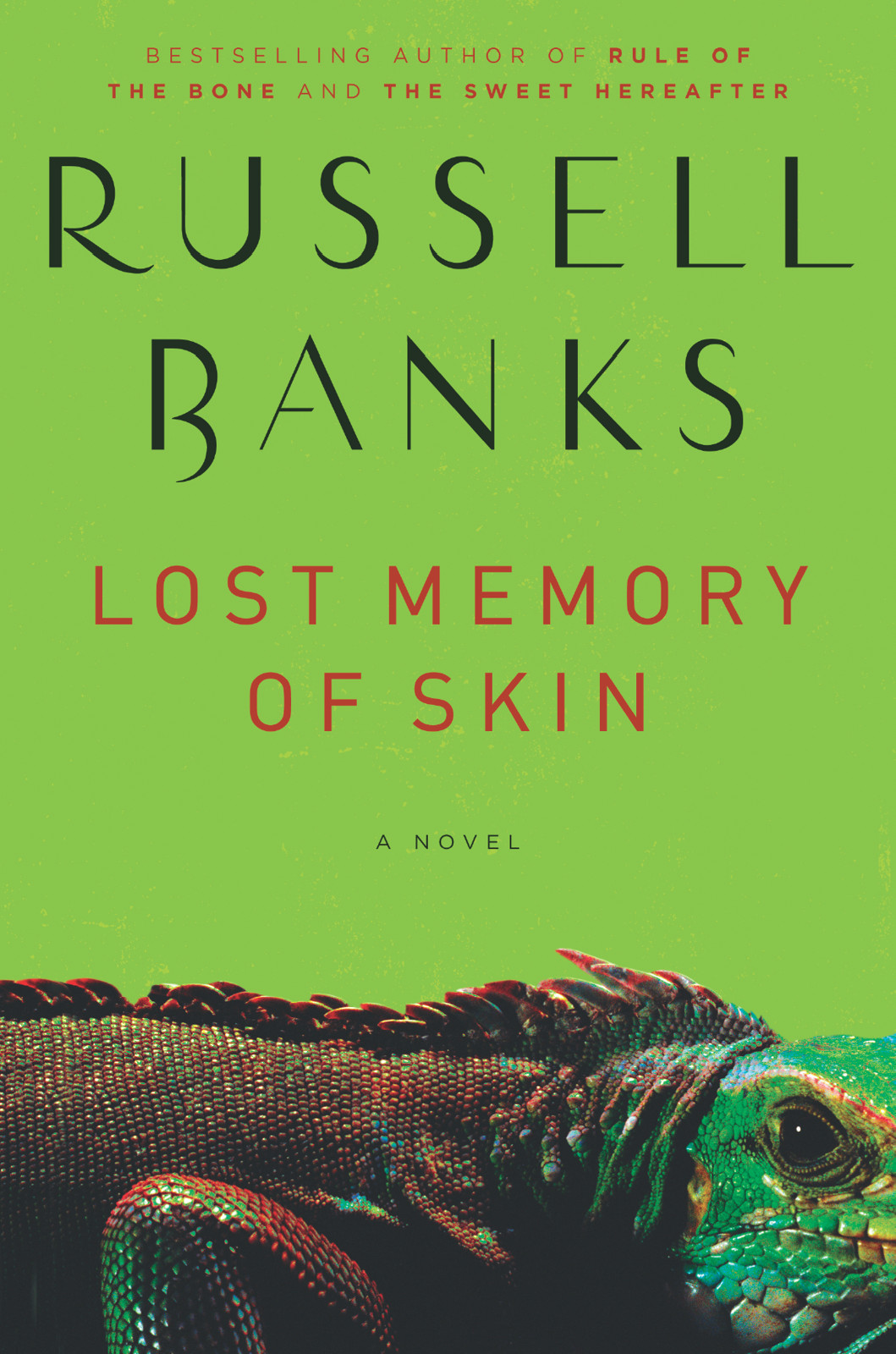 Lost Memory of Skin