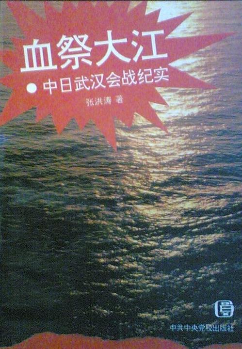 《血祭大江：中日武汉会战纪实》