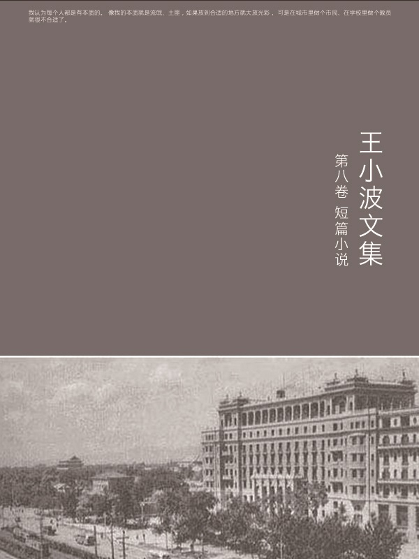 王小波文集-第八卷(作家出版社典藏版本)