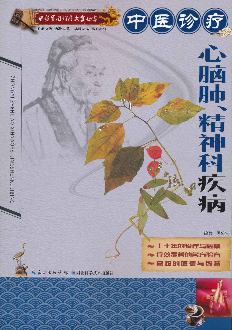 中医实用诊疗大全丛书：中医诊疗心脑肺、精神科疾病