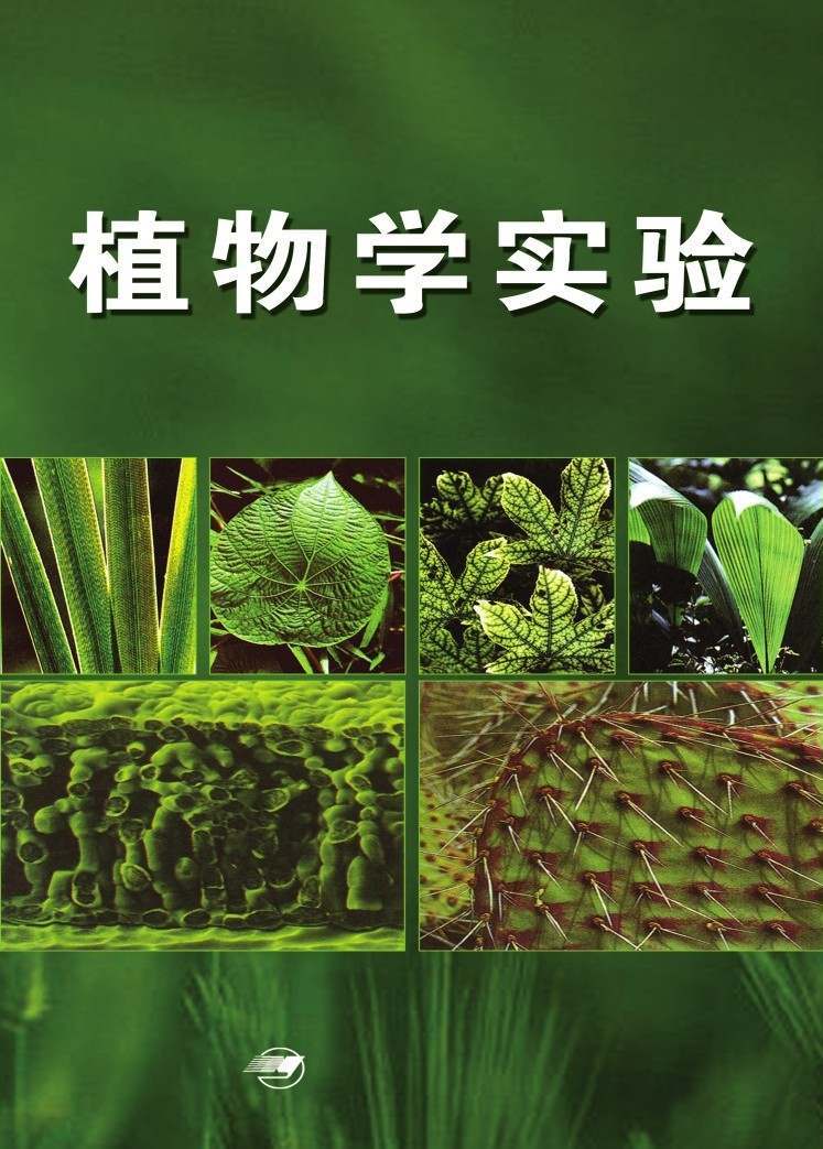 植物学实验 (高等学校使用教材)