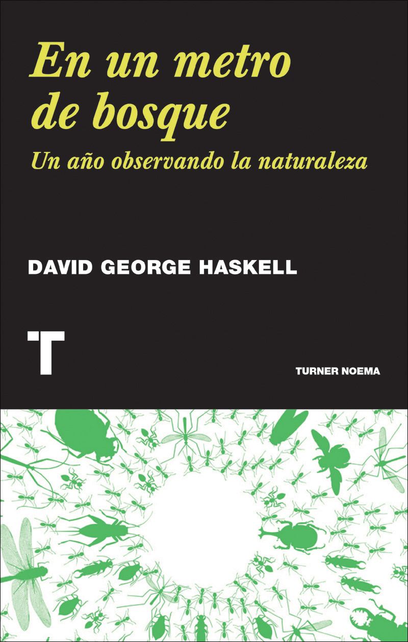 En un metro de bosque (Noema) (Spanish Edition)