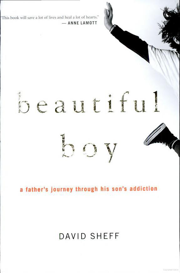 Beautiful Boy: A Father's Journey Through His Son's Addiction