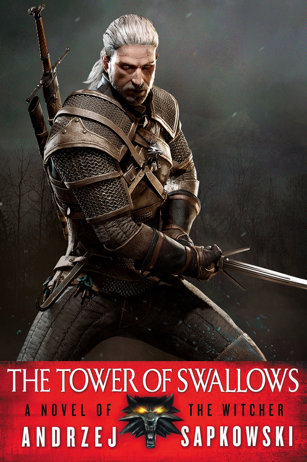 The Witcher Saga [06] - The Swallow's Tower