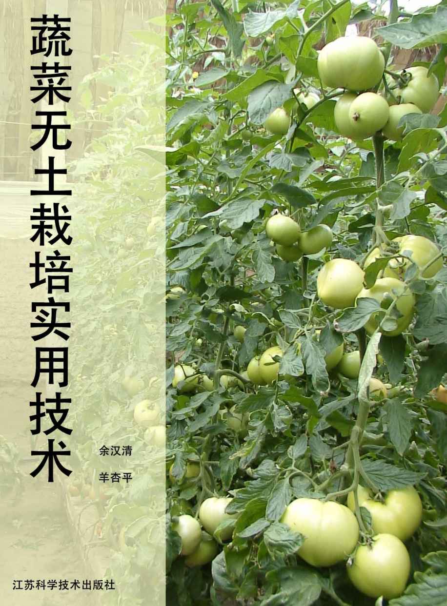 蔬菜无土栽培实用技术