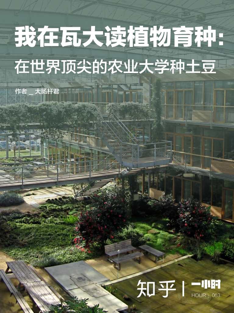 0我在瓦大读植物育种：在世界顶尖的农业大学种土豆（知乎大肠杆君作品）（世界名校顶尖专业的学生是如何学习的？中国学生早就该读的专业指导书！读得越早，弯路越少。） (知乎「一小时」系列)