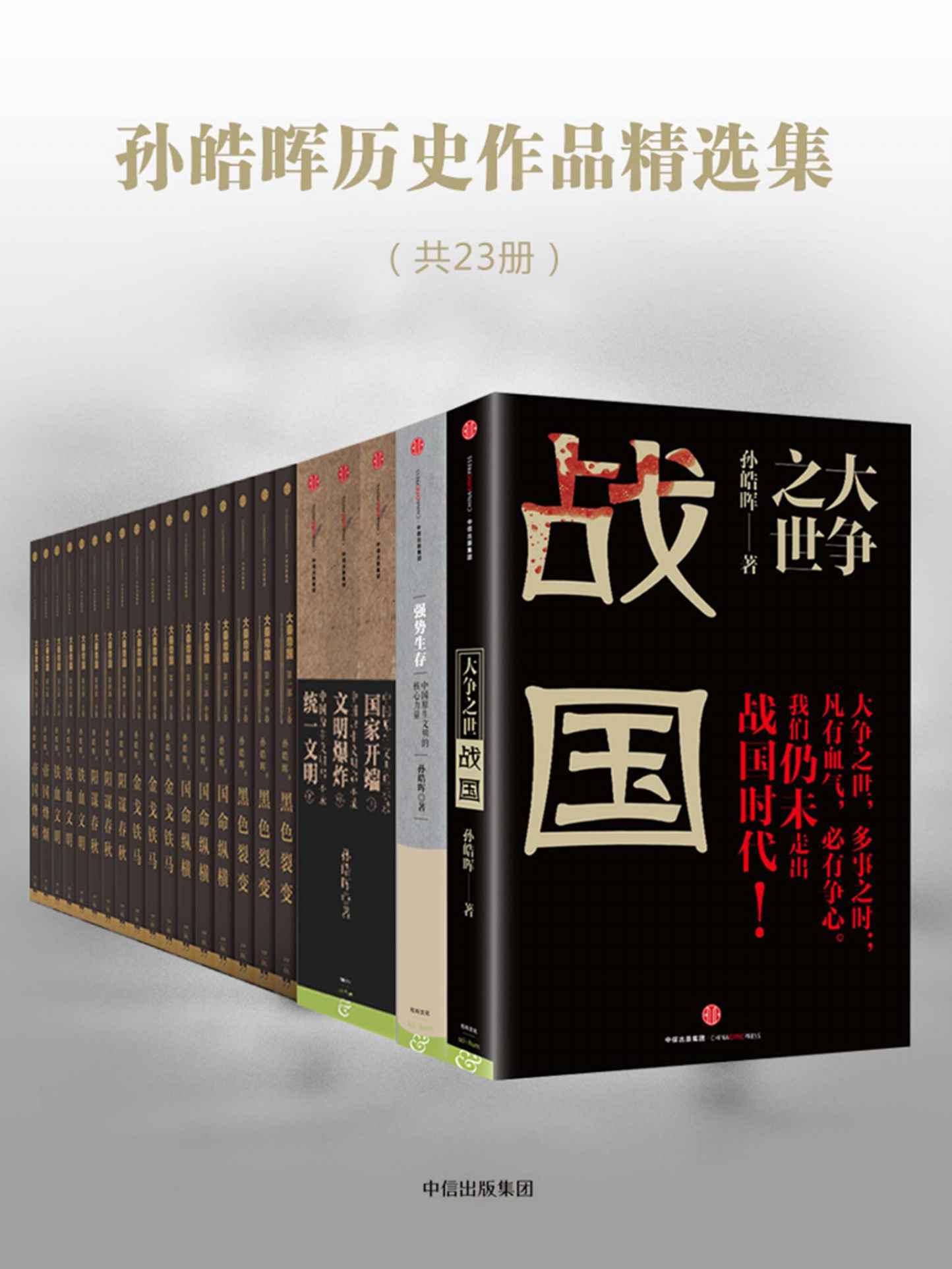 孙皓晖历史作品精选集（共23册）