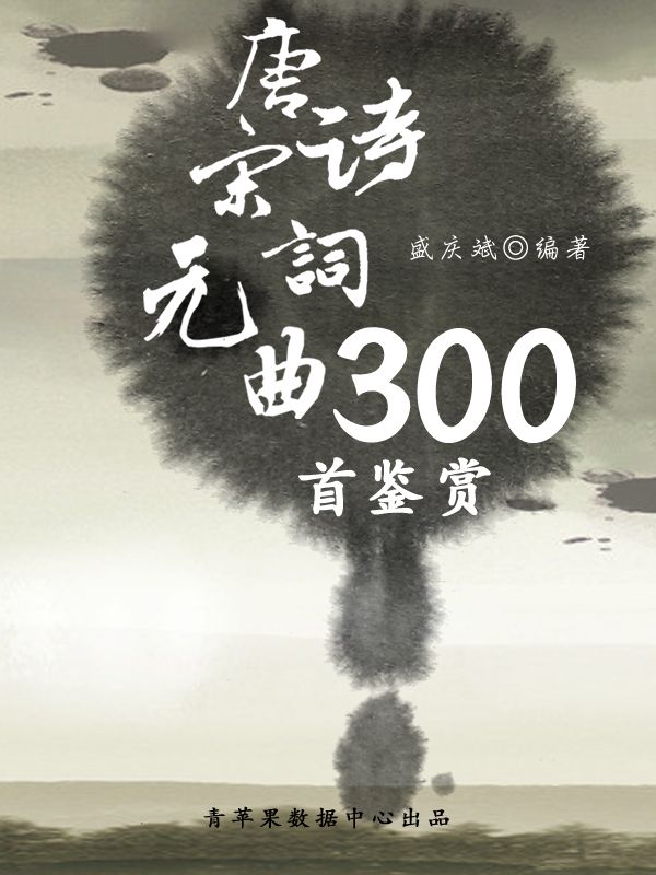 唐诗宋词元曲300首鉴赏 (中华古文化经典丛书)