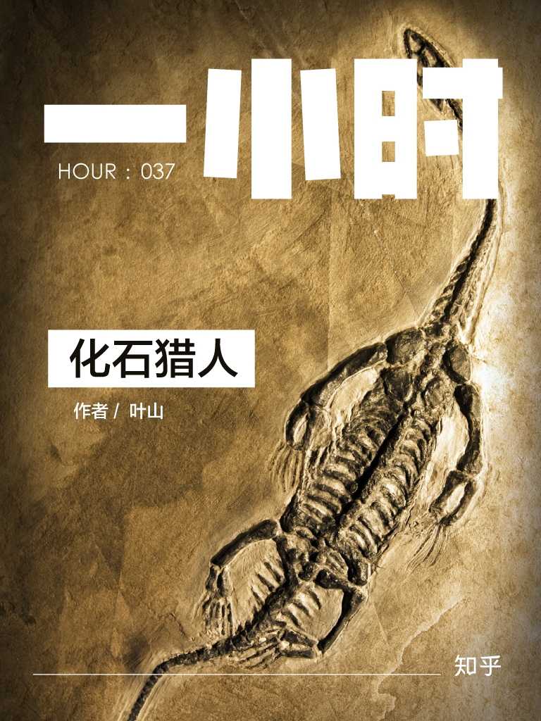 化石猎人：知乎叶山作品 (知乎「一小时」系列)