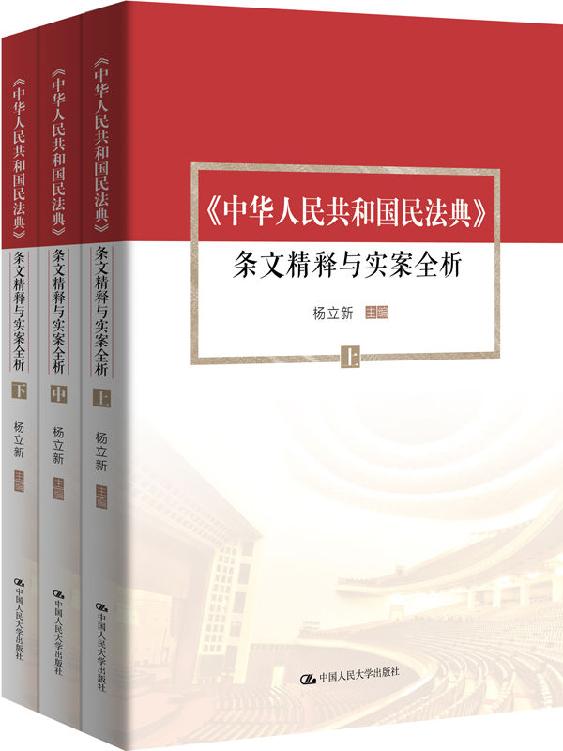 杨立新主编《中华人民共和国民法典》 条文精释与实案全析（上中下）