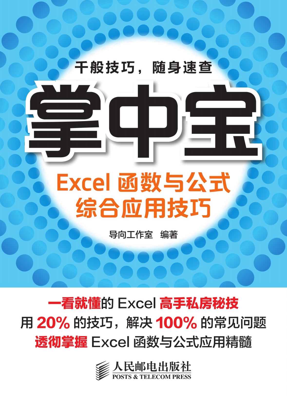 掌中宝——Excel函数与公式综合应用技巧 (掌中宝系列)