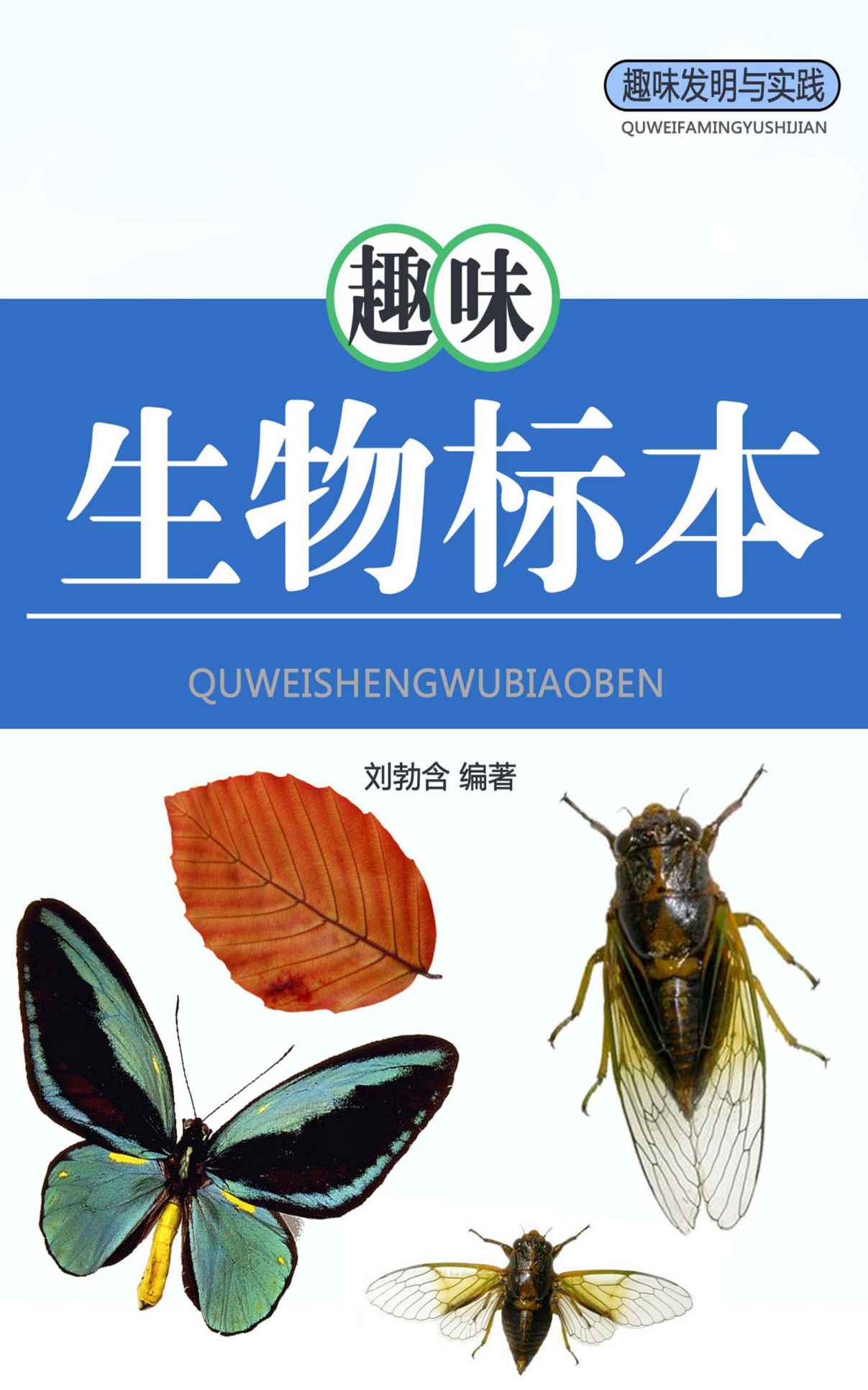 趣味生物标本 (趣味发明与实践)