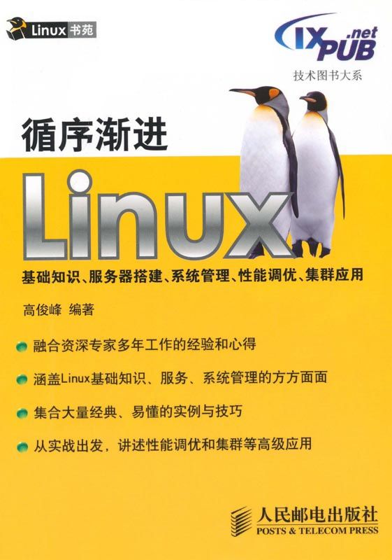 循序渐进Linux基础知识、服务器搭建、系统管理、性能调优、集群应用 (技术图书大系)