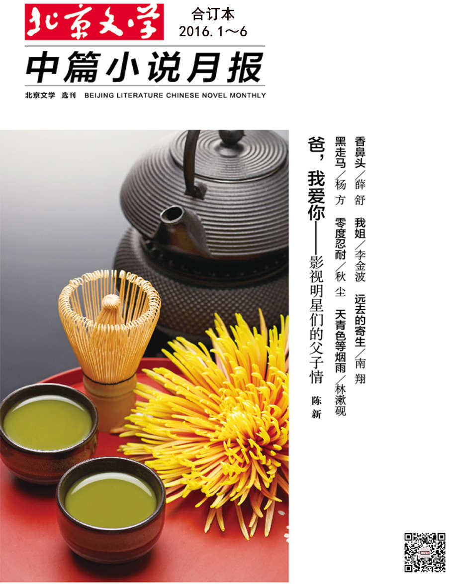 北京文学·中篇小说月报 月刊 2016年上半年合订本（2016.1-6期）